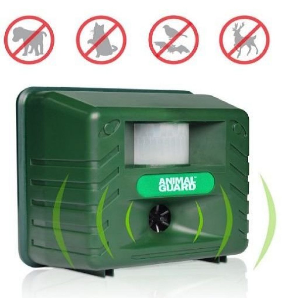 Cuál es el mejor ahuyentador de perros 【2024】