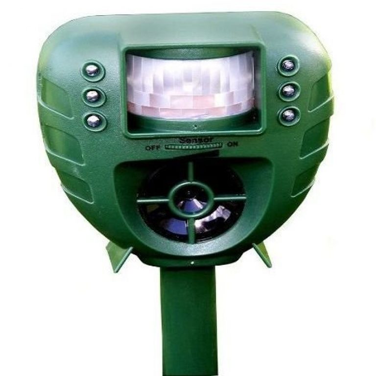 Cuál es el mejor ahuyentador de perros 【2024】