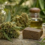 ¿Hash CBD o flores CBD? Diferencias, usos y consejos para comprar sin equivocarte