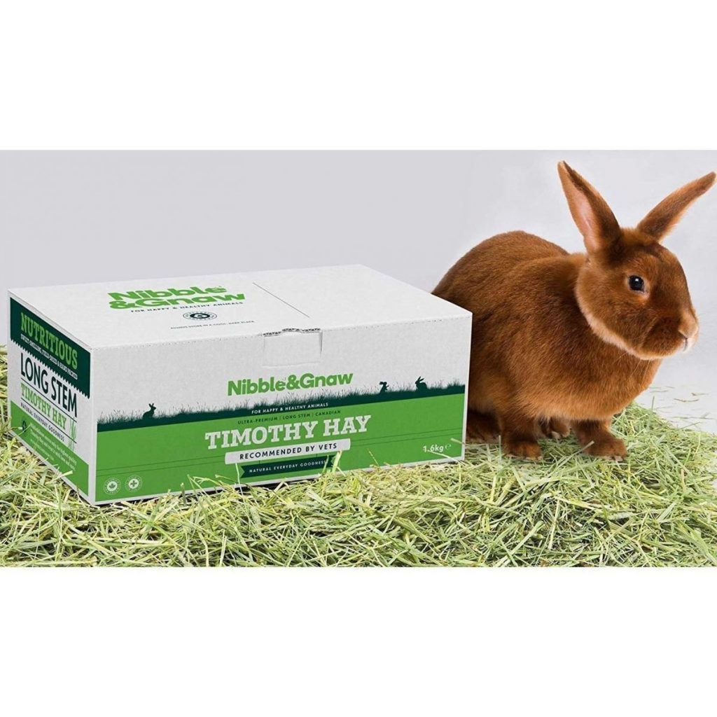 Los 8 mejores henos para conejos 【2024】