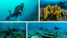 10 curiosidades del buceo que posiblemente no conocías
