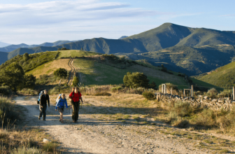 Camino del Norte o Camino Francés, ¿qué Camino de Santiago es mejor para ti?