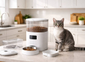 Comedero automático para gatos: cómo elegir capacidad, programación, batería de respaldo y limpieza fácil