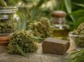 ¿Hash CBD o flores CBD? Diferencias, usos y consejos para comprar sin equivocarte