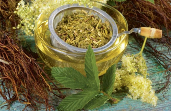 Las 7 mejores infusiones quemagrasas