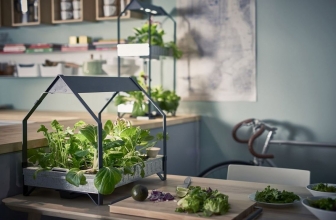 Los 6 mejores kits de cultivo interior