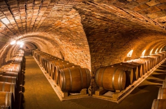 Los 9 mejores vinos tintos reserva